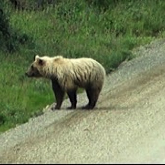 Screen Shot 2016-07-14 at 8.18.19 PM.jpg